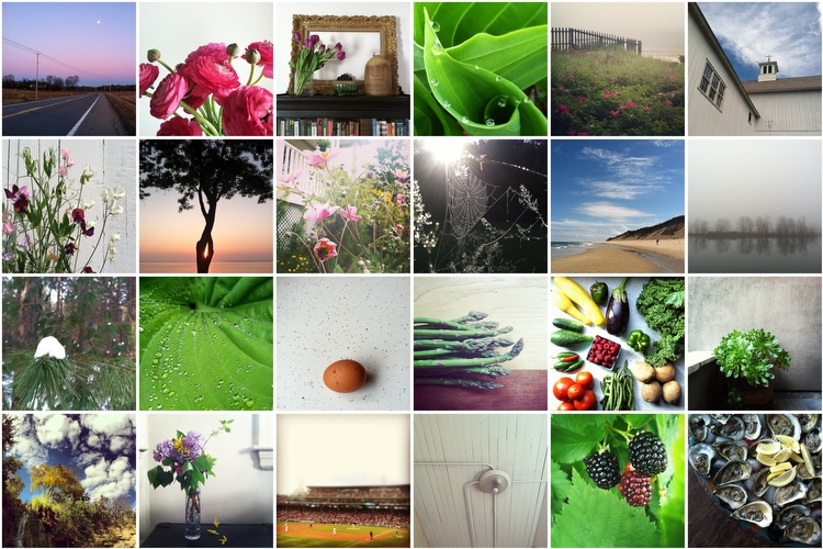 collage of instagram photos taken by Kelly Benvenuto