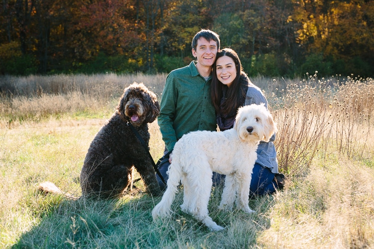 Engagement photos with dogs at Sheep Fold in the Middlesex Fells, north of Boston. Photo by Kelly Benvenuto.