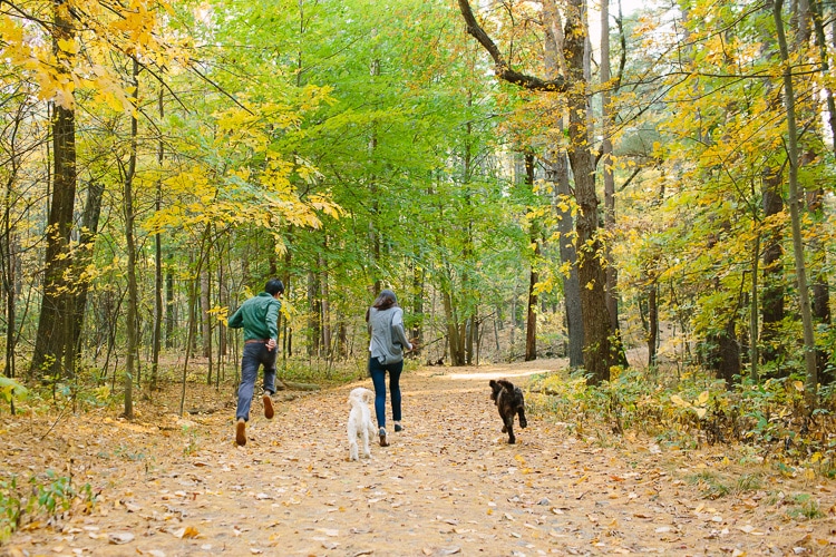 Engagement photos with dogs on a trail in the Middlesex Fells, north of Boston. Image by Kelly Benvenuto.