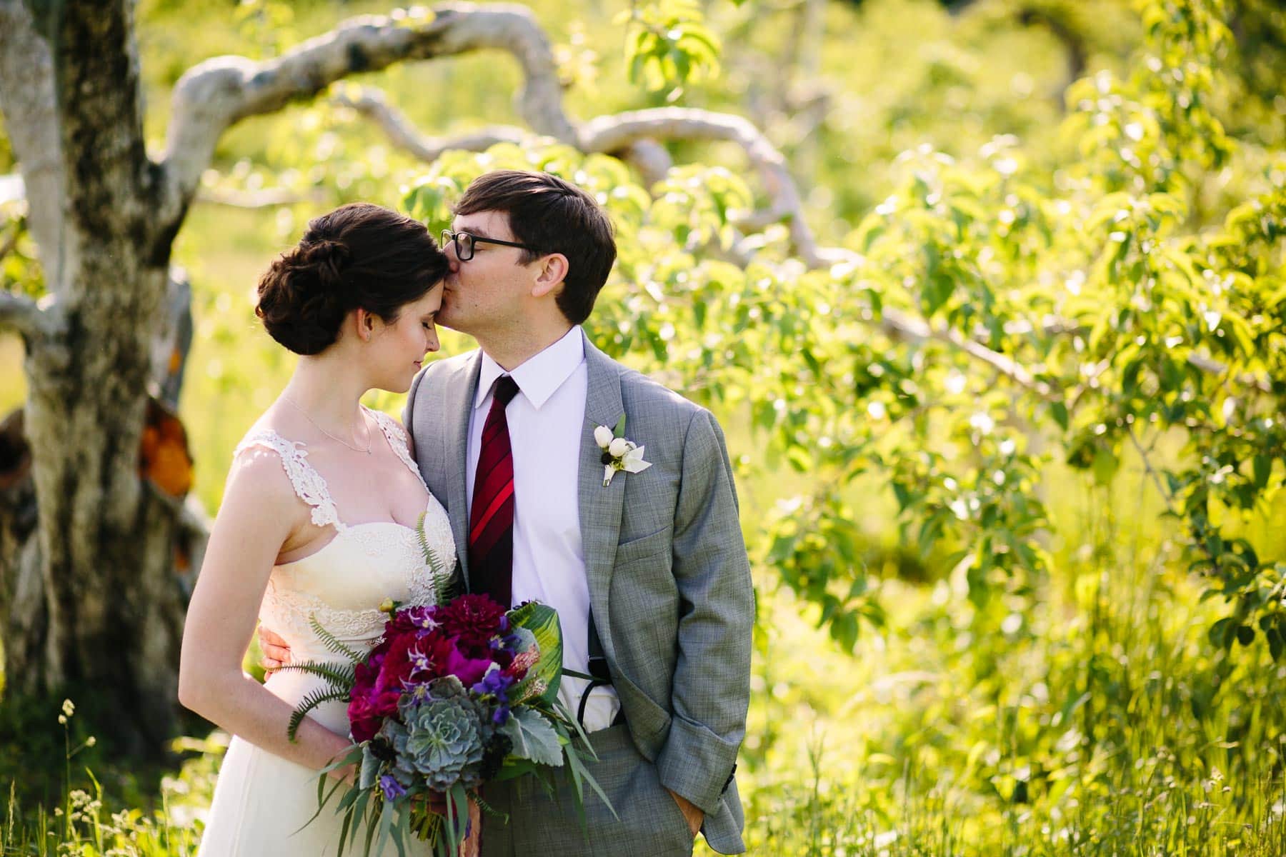 wedding portraits in the orchard at Red Apple Farm, Phillipston, MA