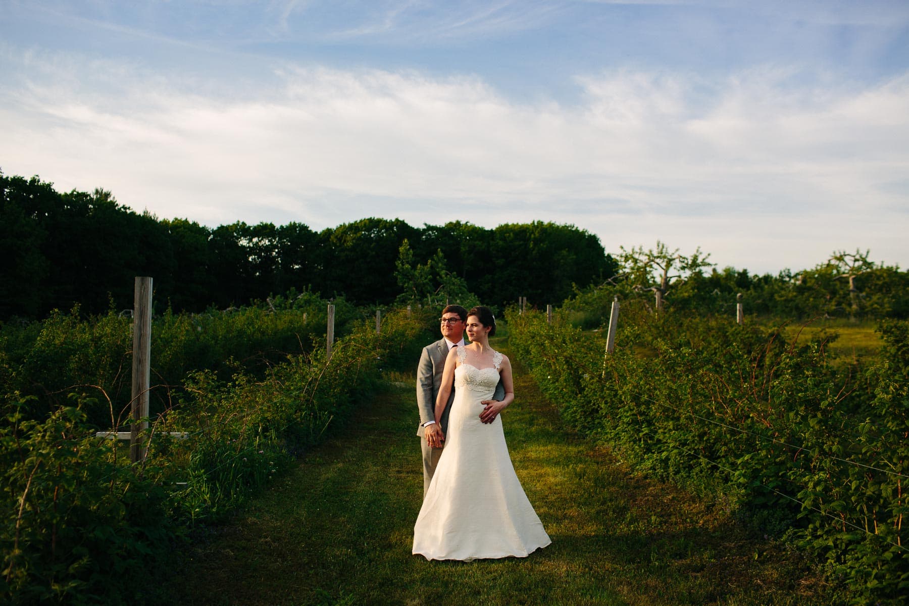 wedding portraits in the blueberry fields at Red Apple Farm, Phillipston, MA